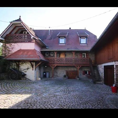 Gite Du Heidenberg Osenbach Екстериор снимка
